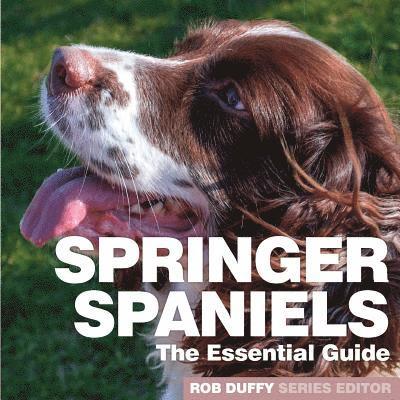 Robert Duffy - Springer Spaniels, Häftad