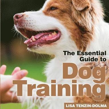 bokomslag Dog Training