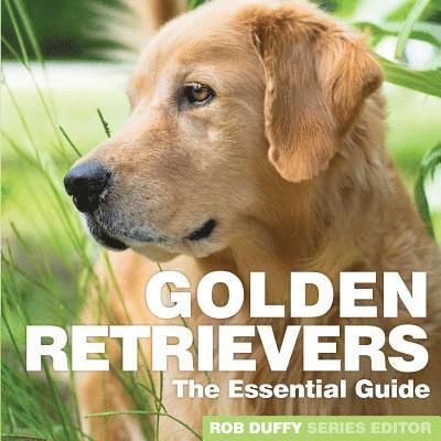 Golden Retrievers 1