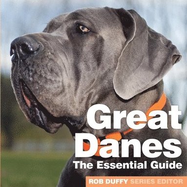 bokomslag Great Danes