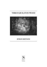 bokomslag Through Ilston Wood