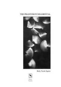bokomslag THE Phantom Fundamental