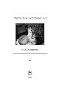 bokomslag The Shadow Behind Me