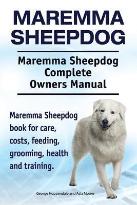 bokomslag Maremma Sheepdog. Maremma Sheepdog Complete Owners Manual. Maremma Sheepdog book for care, costs, feeding, grooming, health and training.