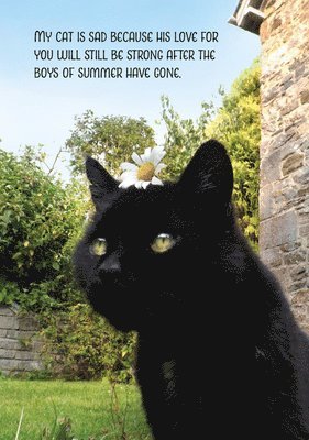 Tom Cox - My Sad Cat Notebook, Inbunden