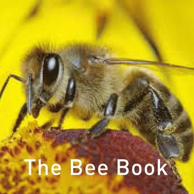 bokomslag Nature Book Series: The Bee Book