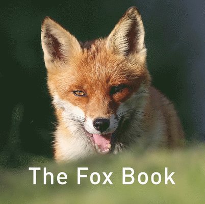 Nature Book Series, The: The Fox Book 1