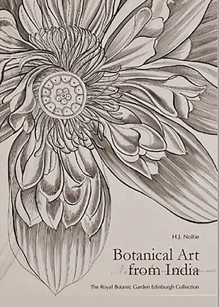 Henry J. Noltie - Botanical Art from India, Inbunden