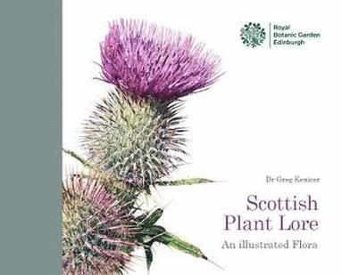 bokomslag Scottish plant lore