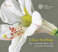 bokomslag Noltie, H: Lillian Snelling