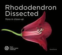bokomslag Rhododendron Dissected