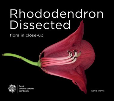 David Purvis - Rhododendron Dissected, Häftad