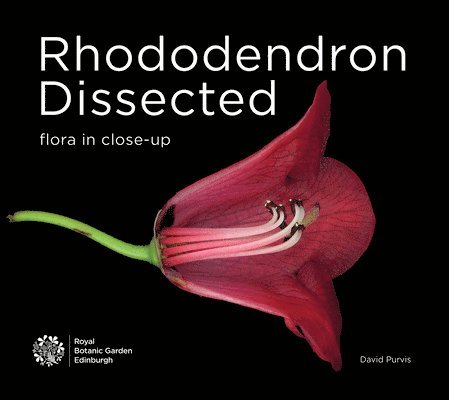 Rhododendron Dissected 1