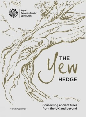 The Yew Hedge 1