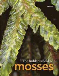 bokomslag Hidden World of Mosses