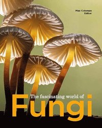 bokomslag Fascinating World of Fungi