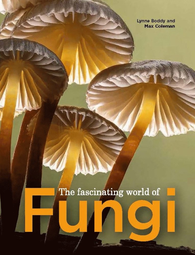 Fascinating World of Fungi 1