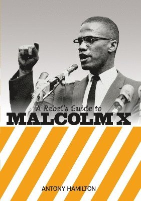 bokomslag A Rebel's Guide to Malcolm X