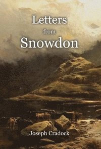 bokomslag Letters from Snowdon