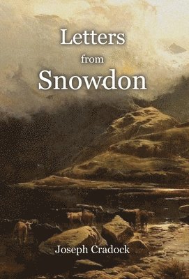 Letters from Snowdon 1