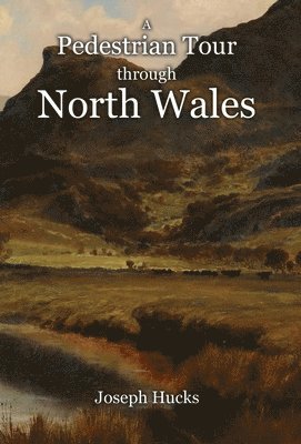bokomslag Pedestrian Tour through North Wales in a Series of Letters