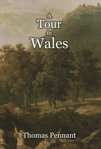 bokomslag A Tour in Wales