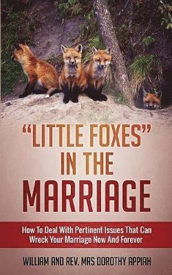 bokomslag Little Foxes in the Marriage