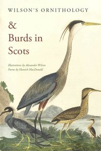 bokomslag Wilson's Ornithology and Burds in Scots