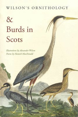 Hamish MacDonald, Hamish Macdonald - Wilson's Ornithology and Burds in Scots, Häftad