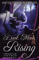 bokomslag Dark Moon Rising