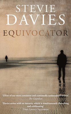Stevie Davies - Equivocator, Inbunden