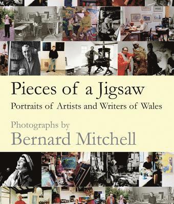 Pieces of a Jigsaw 1