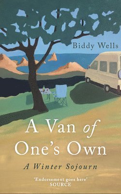 Biddy Wells - Van of One's Own, Häftad