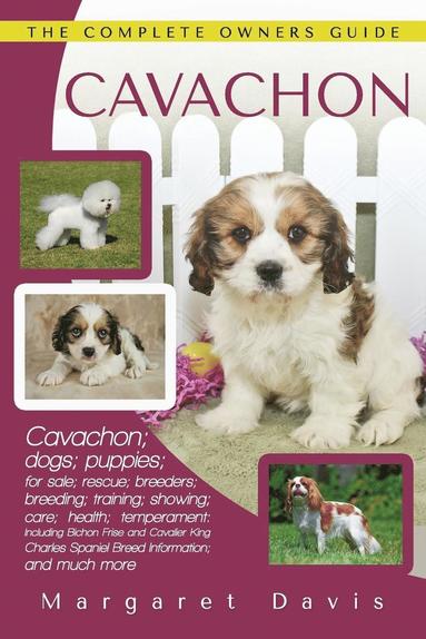 bokomslag Cavachon