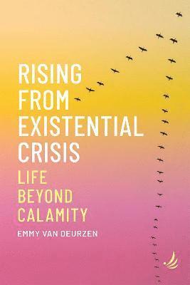 bokomslag Rising from Existential Crisis