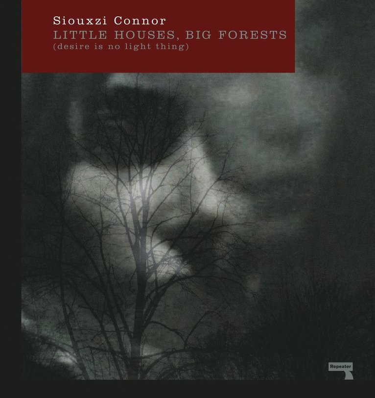 Siouxzi Connor - Little Houses, Big Forests, Häftad