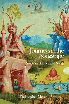 bokomslag Journeys in the Songscape