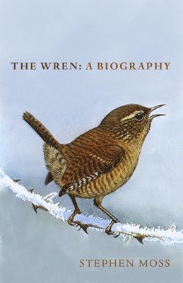 bokomslag The Wren