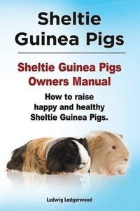 bokomslag Sheltie Guinea Pigs. Sheltie Guinea Pigs Owners Manual. How to raise happy and healthy Sheltie Guinea Pigs.