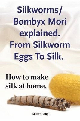 Silkworms Bombyx Mori explained. From Silkworm Eggs To Silk. How to make silk at home. 1