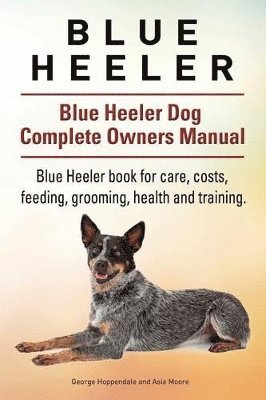Blue Heeler. Blue Heeler Dog Complete Owners Manual. Blue Heeler book for care, costs, feeding, grooming, health and training. 1