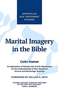 bokomslag Marital Imagery in the Bible