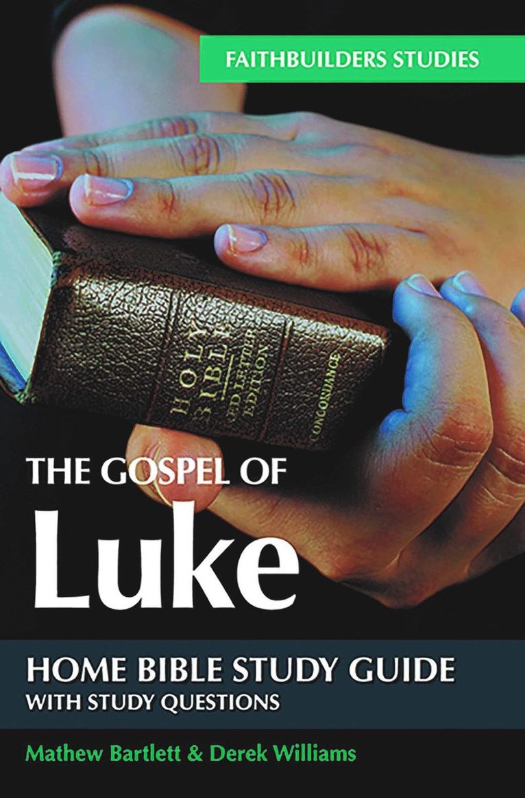 Gospel of Luke Bible Study Guide