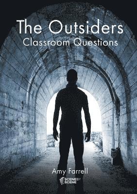 The Outsiders Classroom Questions 1
