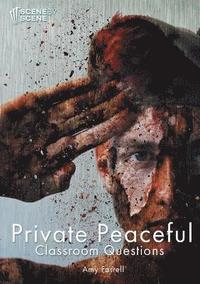 bokomslag Private Peaceful Classroom Questions