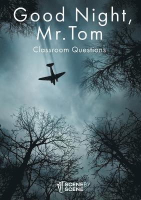 Amy Farrell - Good Night, Mr. Tom Classroom Questions, Häftad