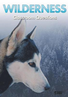 Wilderness Classroom Questions 1