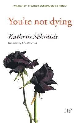 Kathrin Schmidt - You're not dying, Häftad