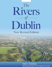 bokomslag Rivers of Dublin