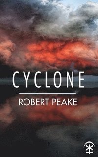 bokomslag Cyclone
